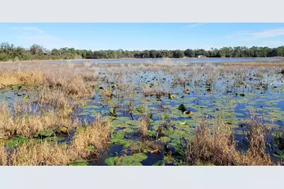 13.12Ac NE Hwy 315, Fort Mc Coy, FL 32134 - Photo 8