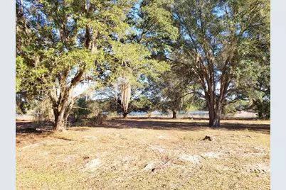 13.12Ac NE Hwy 315, Fort Mc Coy, FL 32134 - Photo 4