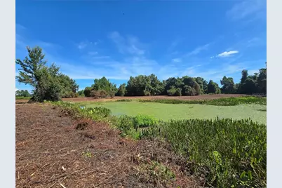 Cr 736, Center Hill, FL 33514 - Photo 14