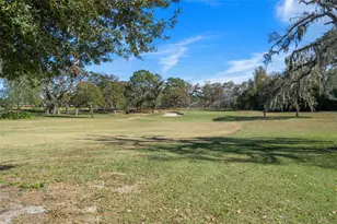 3 Cypress Run, Homosassa, FL 34446 - Photo 34