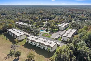 3 Cypress Run, Homosassa, FL 34446 - Photo 44