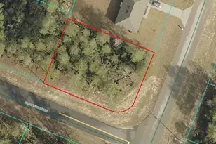 Marion Oaks Ln, Ocala, FL 34473 - Photo 1