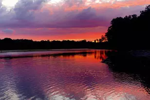 9093 E Pinehurst Ct, Inverness, FL 34450 - Photo 94