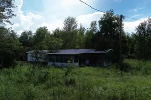 14040 SE Hwy 42, Weirsdale, FL 32195 - Photo 1