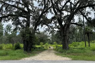 9600 NE 90th Street Rd, Fort Mc Coy, FL 32134 - Photo 1