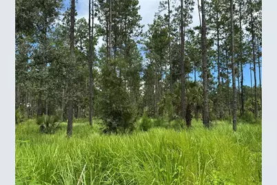 9600 NE 90th Street Road, Fort Mc Coy, FL 32134 - Photo 16