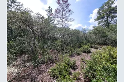 Corner Of Oak and Cypress Road, Ocala, FL 34472 - Photo 10