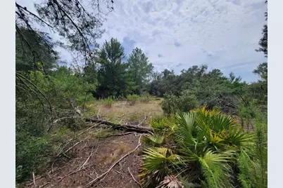 Corner Of Oak and Cypress Road, Ocala, FL 34472 - Photo 4