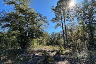 Tbd NE 86th St, Bronson, FL 32621 - Photo 1