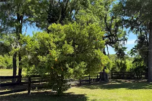 35 Lake Wood Cir, Ocala, FL 34482 - Photo 38