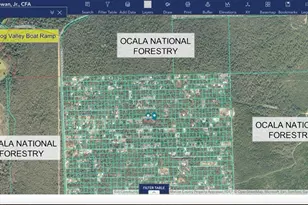 15668 NE 238th St, Fort Mc Coy, FL 32134 - Photo 34