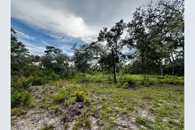 15668 NE 238th Street, Fort Mc Coy, FL 32134 - Photo 30