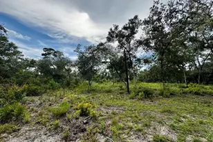 15668 NE 238th St, Fort Mc Coy, FL 32134 - Photo 30