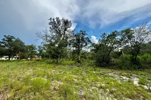 15668 NE 238th St, Fort Mc Coy, FL 32134 - Photo 32