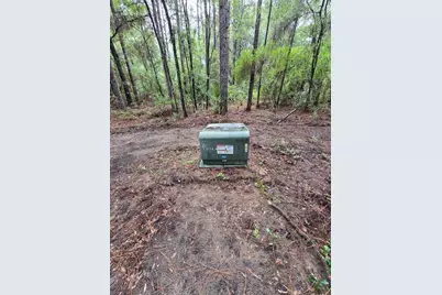 Lot 4 SW 194th Avenue, Dunnellon, FL 34432 - Photo 6