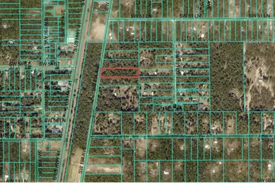 Lot 4 SW 194th Avenue, Dunnellon, FL 34432 - Photo 2