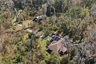 19040 NW 88th Avenue Rd, Reddick, FL 32686 - Photo 60