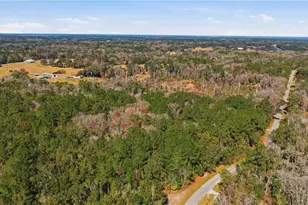 19040 NW 88th Avenue Rd, Reddick, FL 32686 - Photo 62