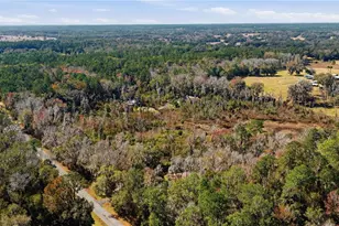 19040 NW 88th Avenue Rd, Reddick, FL 32686 - Photo 62