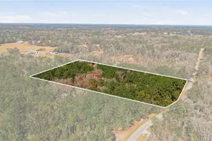 19040 NW 88th Avenue Rd, Reddick, FL 32686 - Photo 66