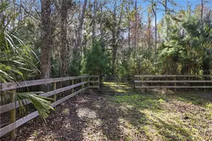 19040 NW 88th Avenue Rd, Reddick, FL 32686 - Photo 52