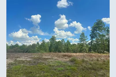 Tbd SE 128th Terrace, Morriston, FL 32668 - Photo 2