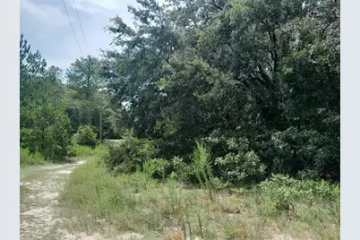 Se 108th Terrace, Morriston, FL 32668 - Photo 6