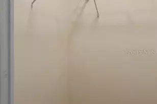 23061 SW Nautilus Blvd, Dunnellon, FL 34431 - Photo 30