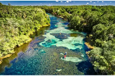 23061 SW Nautilus Boulevard, Dunnellon, FL 34431 - Photo 46