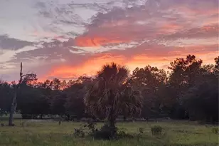 23061 SW Nautilus Blvd, Dunnellon, FL 34431 - Photo 60