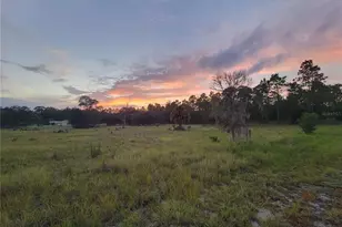 23061 SW Nautilus Blvd, Dunnellon, FL 34431 - Photo 54