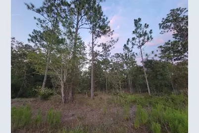 23061 SW Nautilus Boulevard, Dunnellon, FL 34431 - Photo 56