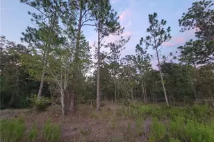 23061 SW Nautilus Blvd, Dunnellon, FL 34431 - Photo 56