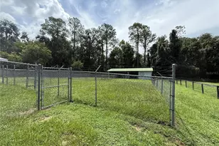 19260 NW 88th Avenue Rd, Reddick, FL 32686 - Photo 18