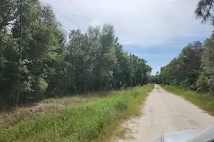 Lot 12 SW 96th Ln, Dunnellon, FL 34432 - Photo 1