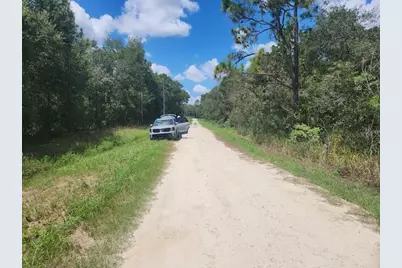 Lot 12 SW 96th Lane, Dunnellon, FL 34432 - Photo 2