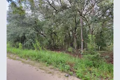 0 NE 110th Avenue, Bronson, FL 32621 - Photo 1