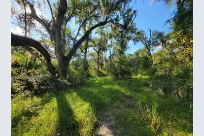 565 NE 833rd Street, Old Town, FL 32680 - Photo 1