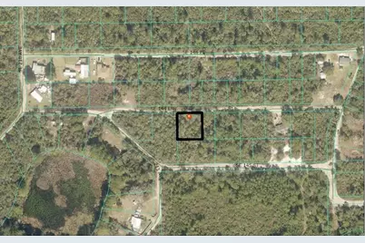 Tbd SE 144th Ln, Umatilla, FL 32784 - Photo 1