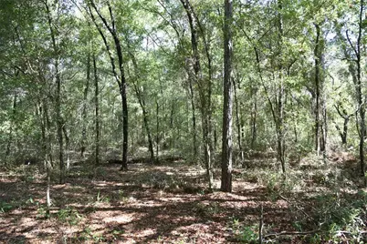 11st St, Interlachen, FL 32148 - Photo 22