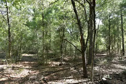 11st St, Interlachen, FL 32148 - Photo 20