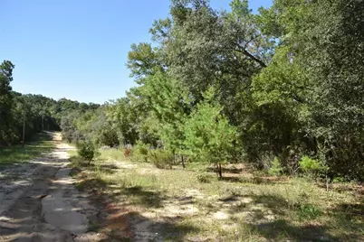 11st St, Interlachen, FL 32148 - Photo 24