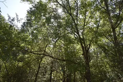 11st St, Interlachen, FL 32148 - Photo 16