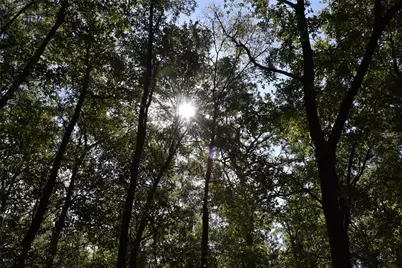 11st St, Interlachen, FL 32148 - Photo 14