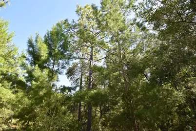 11st St, Interlachen, FL 32148 - Photo 18