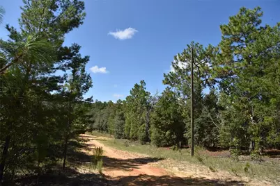 11st St, Interlachen, FL 32148 - Photo 4