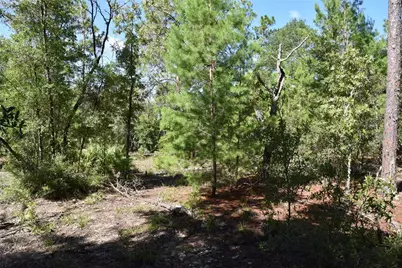 11st St, Interlachen, FL 32148 - Photo 10