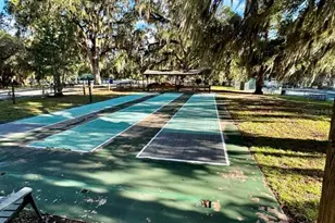 14365 NE 252nd Ct Rd, Salt Springs, FL 32134 - Photo 36