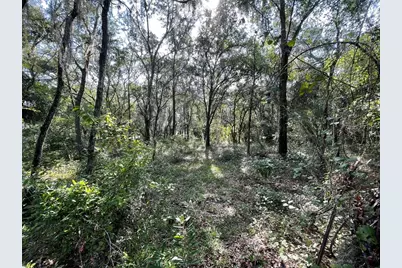 Lots 15 & 16 SW Shorewood Drive, Dunnellon, FL 34431 - Photo 6