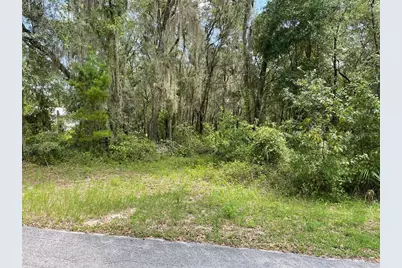 Lots 15 & 16 SW Shorewood Drive, Dunnellon, FL 34431 - Photo 10